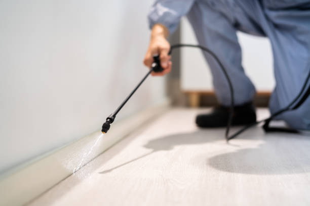 Licensed Pest Control service in Olive Hill, KY - Show Me Pest Control