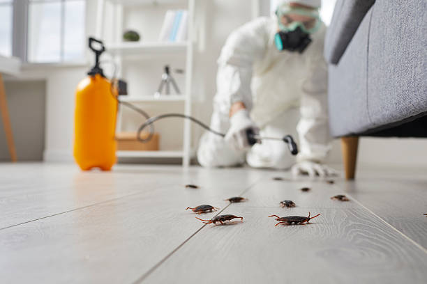 Commercial Kitchen Cockroach Control in Olive Hill